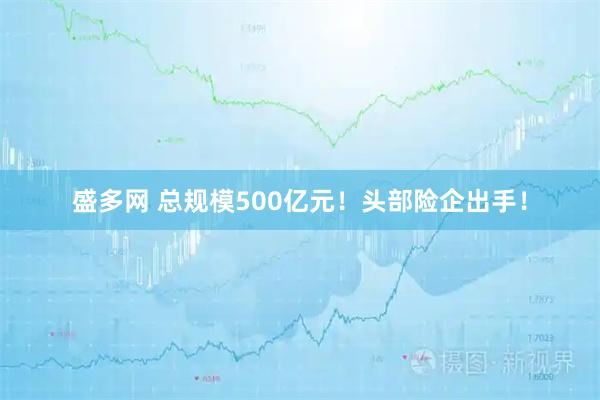 盛多网 总规模500亿元！头部险企出手！