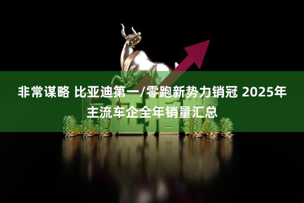 非常谋略 比亚迪第一/零跑新势力销冠 2025年主流车企全年销量汇总