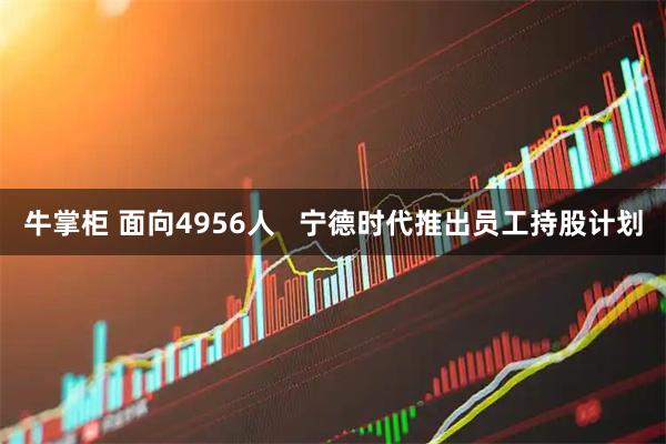 牛掌柜 面向4956人   宁德时代推出员工持股计划
