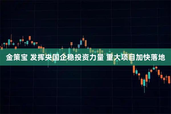金策宝 发挥央国企稳投资力量 重大项目加快落地