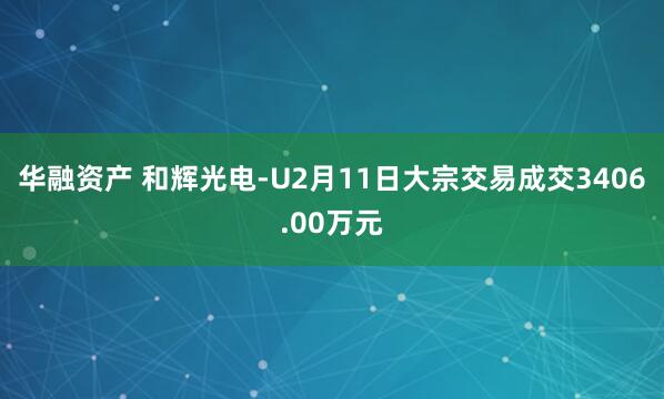 华融资产 和辉光电-U2月11日大宗交易成交3406.00万元