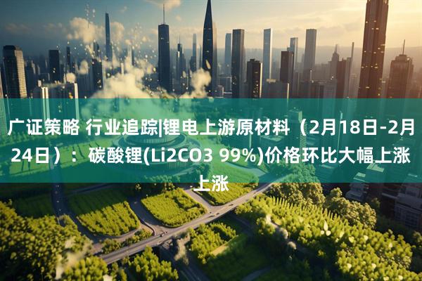 广证策略 行业追踪|锂电上游原材料（2月18日-2月24日）：碳酸锂(Li2CO3 99%)价格环比大幅上涨